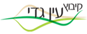 לוגו